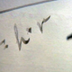 Image: Video still from Contunico/ZDF Enterprise/Brittanica.com